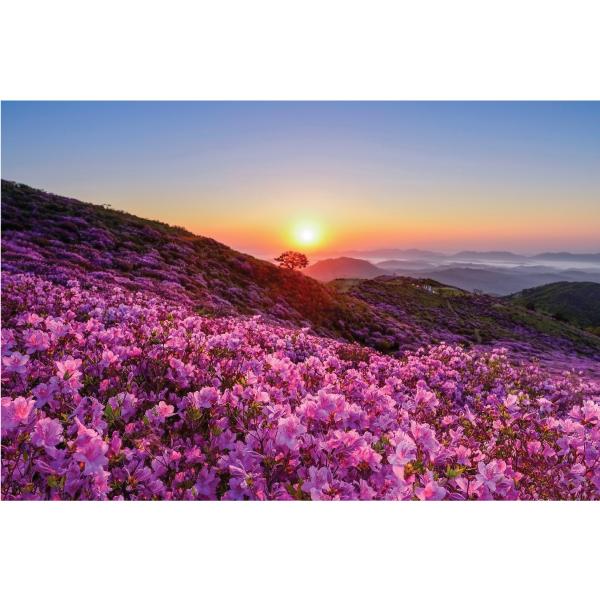 봄배경현수막(진달래꽃)-344-칭찬나라큰나라