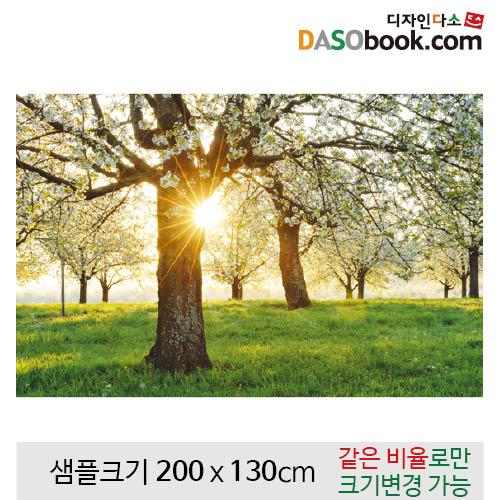 봄배경현수막(벚꽃)-115-칭찬나라큰나라