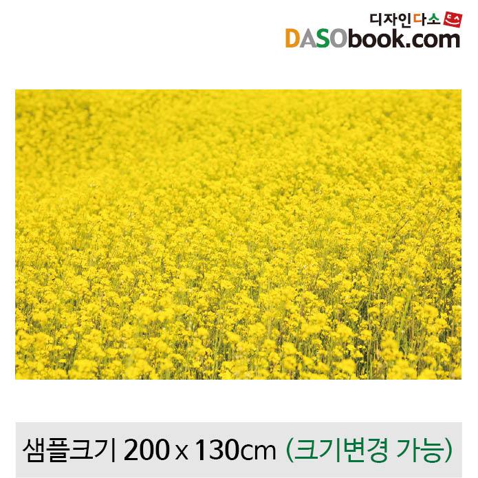 봄배경현수막(유채꽃)-129-칭찬나라큰나라