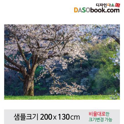 포토존현수막(벚꽃)-077-칭찬나라큰나라