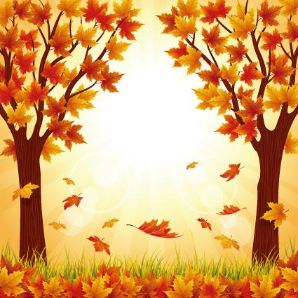 가을배경현수막(낙엽)-255-칭찬나라큰나라