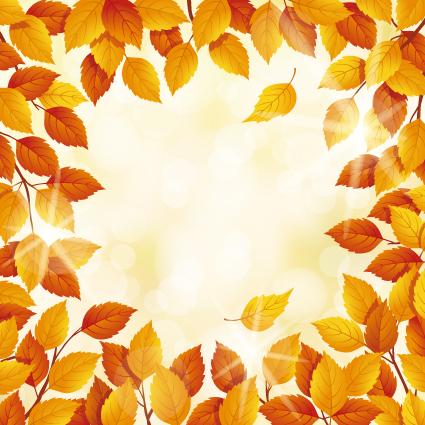 가을배경현수막(낙엽)-257-칭찬나라큰나라