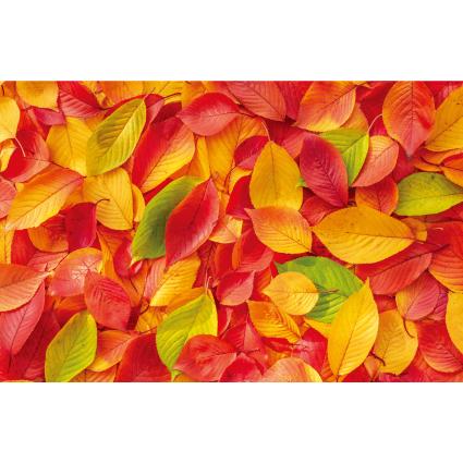 가을배경현수막(낙엽)-280-칭찬나라큰나라