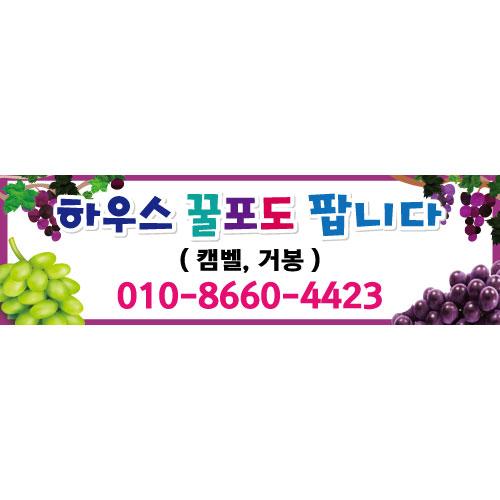 과일현수막(포도판매)-008-칭찬나라큰나라