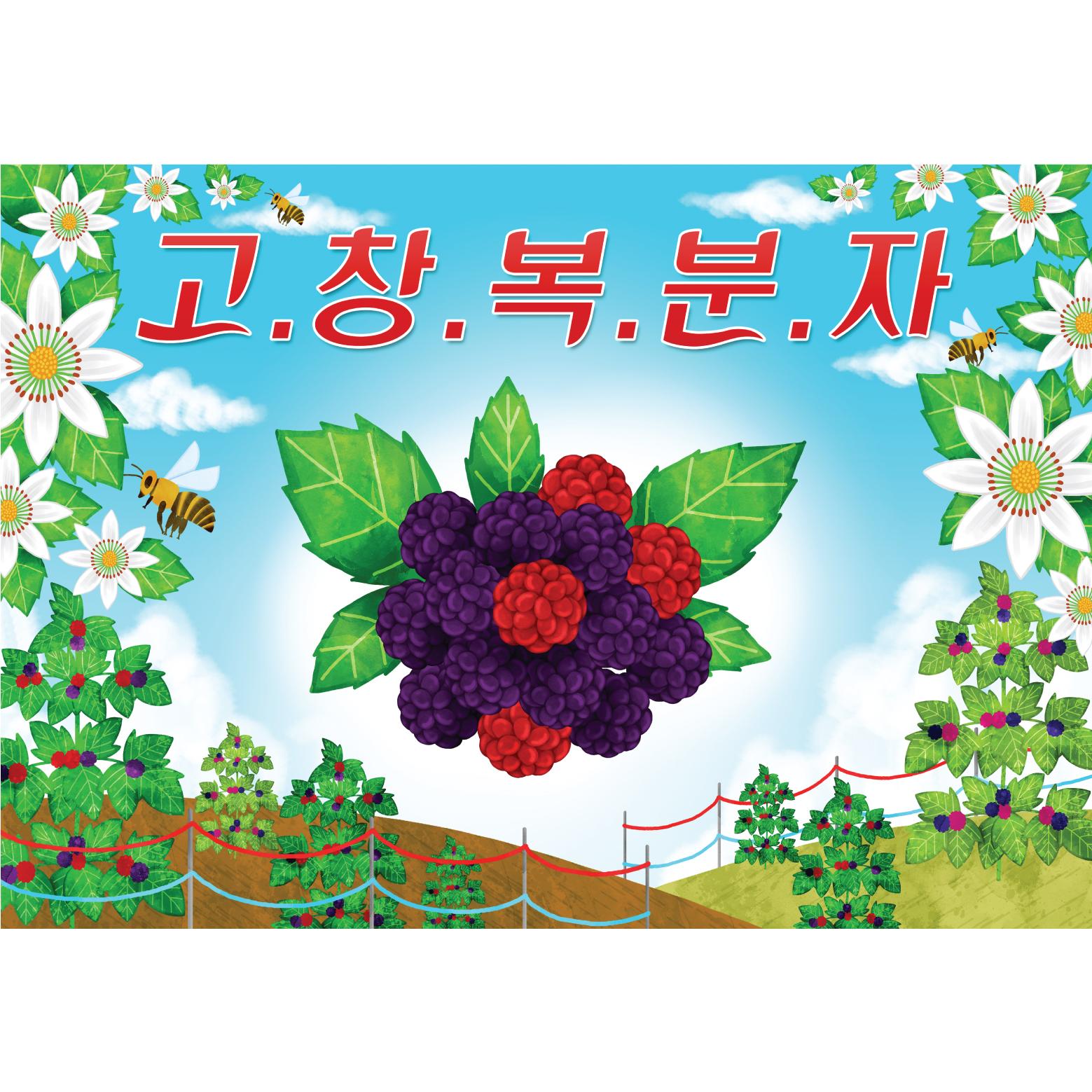 지역특산물현수막(고창복분자)-030-칭찬나라큰나라