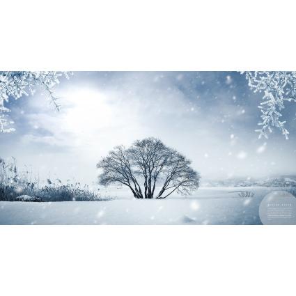 겨울배경현수막-194-칭찬나라큰나라