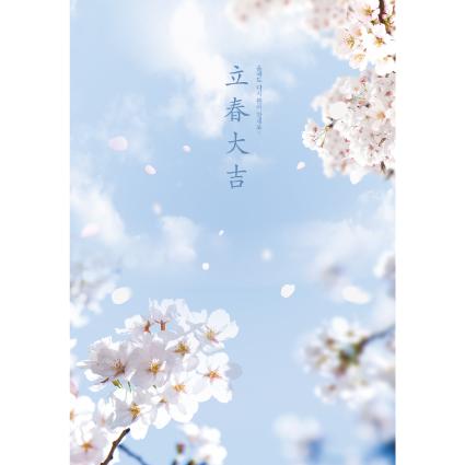 봄배경현수막(벚꽃)-207-칭찬나라큰나라