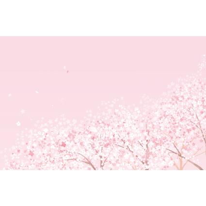 봄배경현수막(벚꽃)-250-칭찬나라큰나라