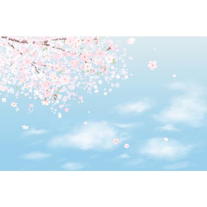 봄배경현수막(벚꽃)-251-칭찬나라큰나라