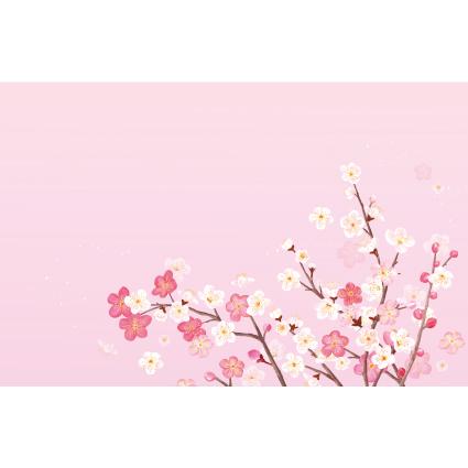 봄배경현수막(벚꽃)-253-칭찬나라큰나라