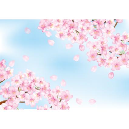 봄배경현수막(벚꽃)-293-칭찬나라큰나라