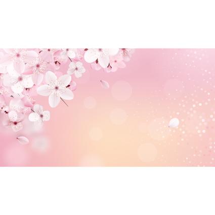봄배경현수막(벚꽃)-295-칭찬나라큰나라