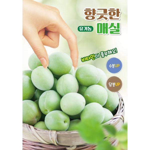 과일현수막(매실)-028-칭찬나라큰나라