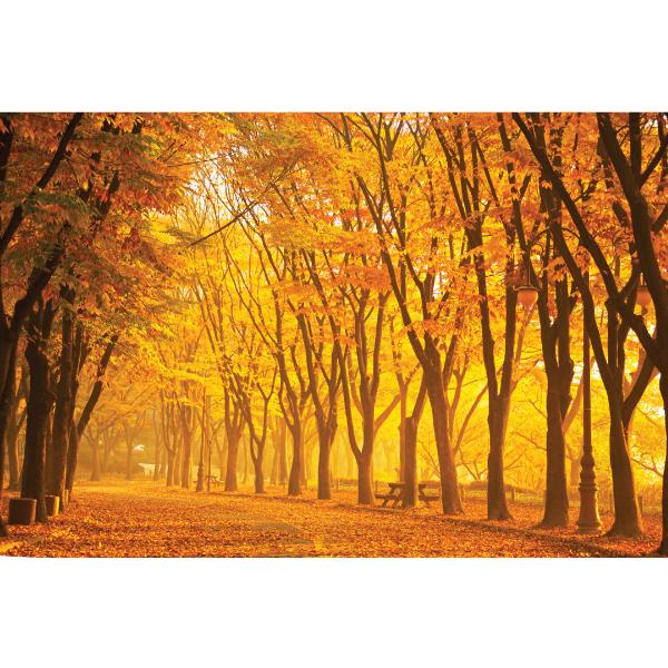가을배경현수막-343-칭찬나라큰나라