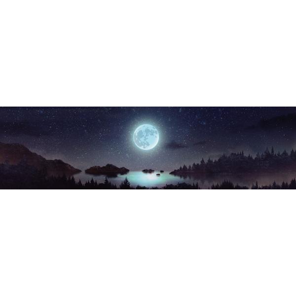 포토존현수막 밤하늘달 426-칭찬나라큰나라
