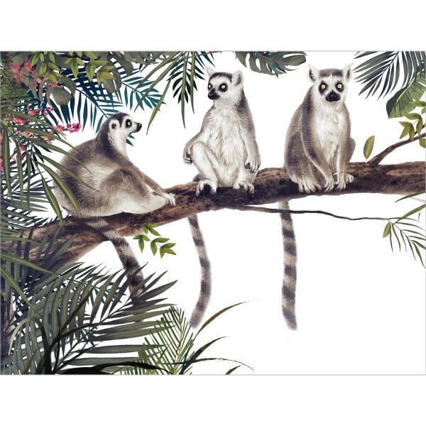 정글숲속배경현수막 동물원 원숭이 163-칭찬나라큰나라