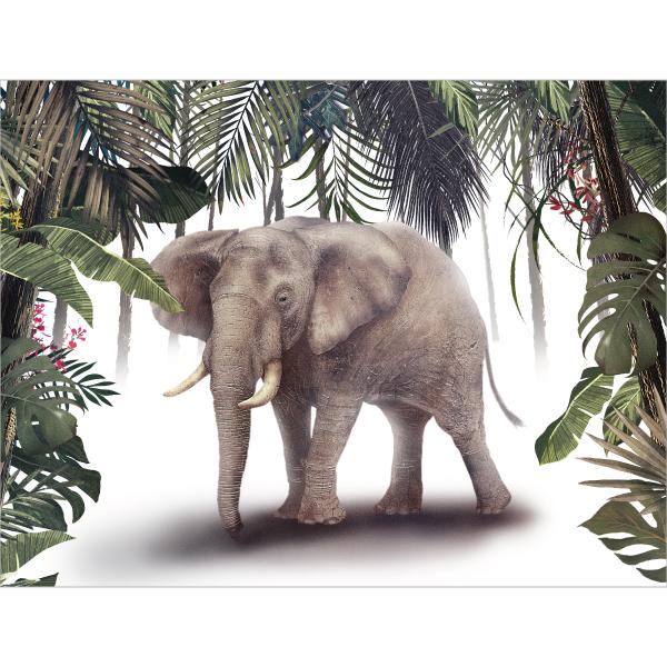 정글숲속배경현수막 동물원 코끼리 165-칭찬나라큰나라
