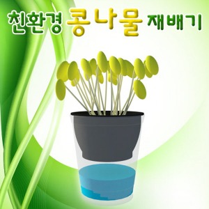 친환경 콩나물 재배기(1인용)